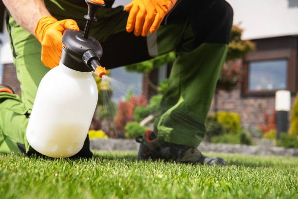 Best Affordable Pest Control Services  in Seguin, TX